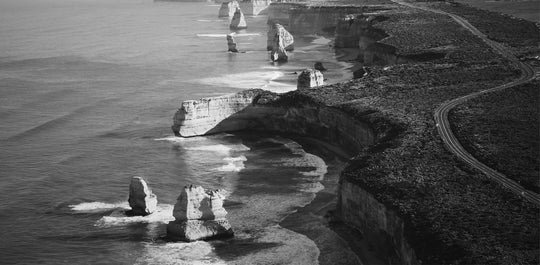 COVID-19 <br/> Tourism and Visitor Economy Practice